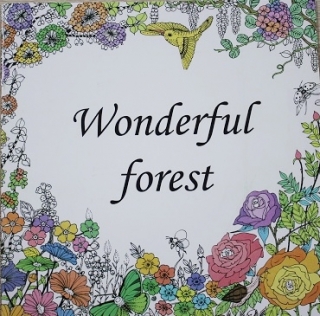 Antistresová omaľovánka Wonderful forest  (22 veľko  strán)
