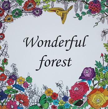 Antistresová omaľovánka Wonderful Forest   (96 veľko strán)