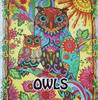 Antistresová omaľovánka Owls - Sovy  (96 veľko strán)