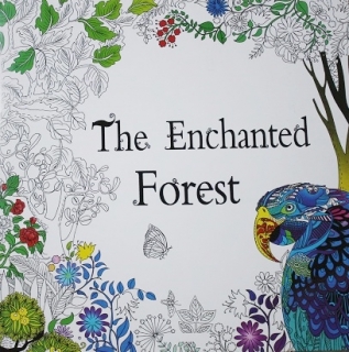  Antistresová omaľovánka The Enchantend  Forest (22 veľko strán)